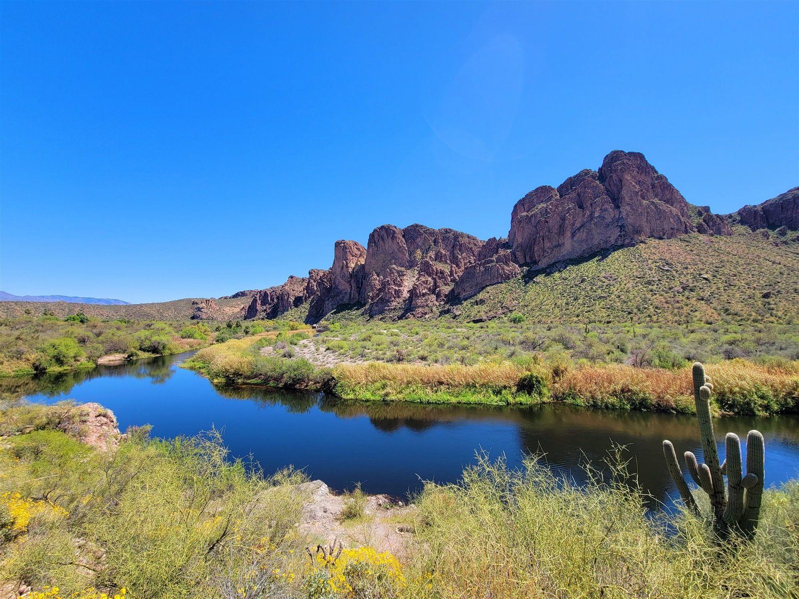 The Salt River winding through the Arizona desert near Mesa, with saguaro cacti and red rock formations